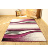 Dywan Fryz wycinany 120x170cm nr 95 fiolet 