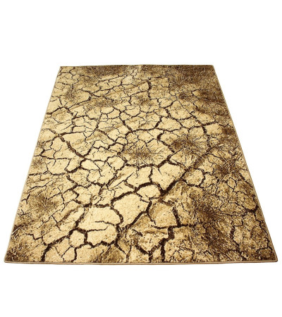 Dywan Weltom TERRA ORZECH 200x300 cm