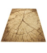 Dywan Weltom TRONKO ORZECH 160x220cm