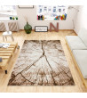 Dywan heat-set Miami 200x290cm nr 307