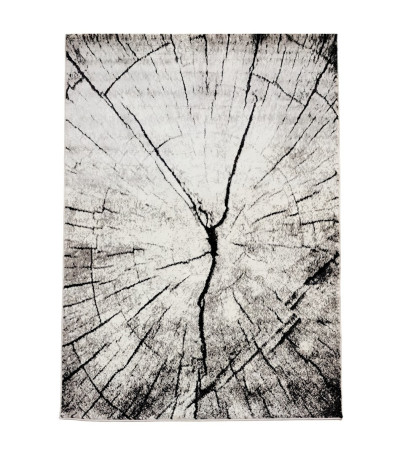 Dywan heat-set Miami 200x290cm nr 307